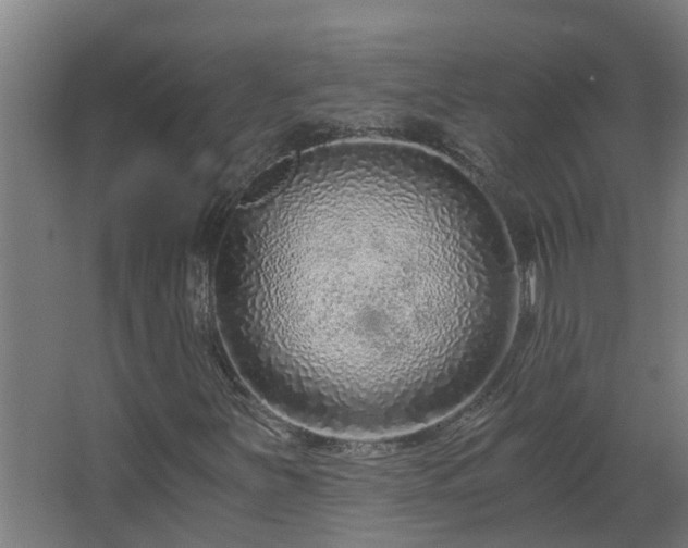 X0000068731251200605010950