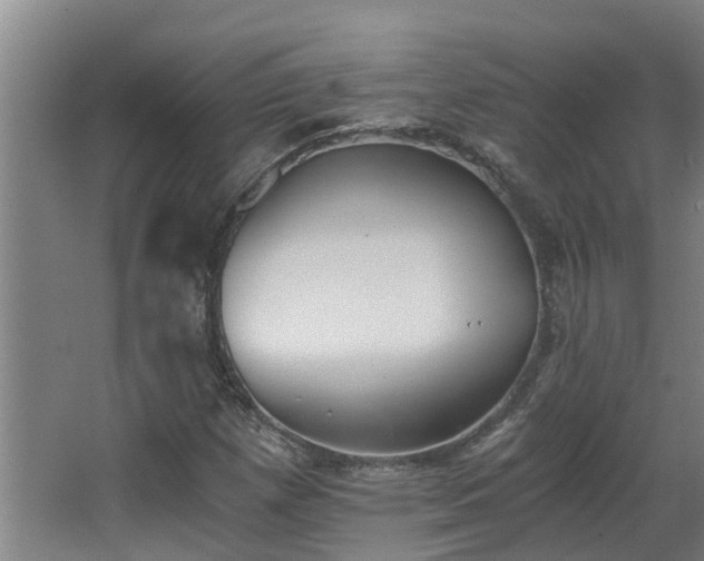 X0000068731257200605010950