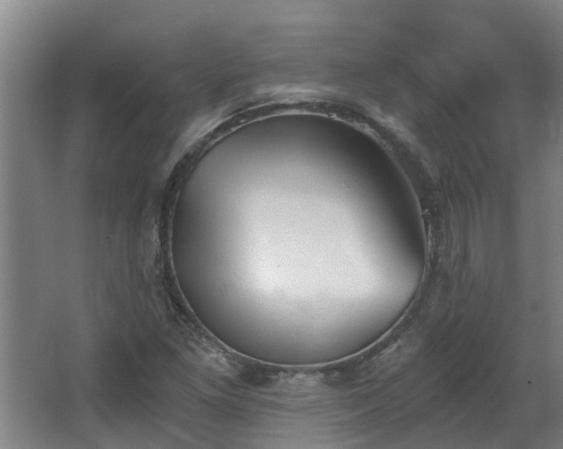 X0000068731261200605010950