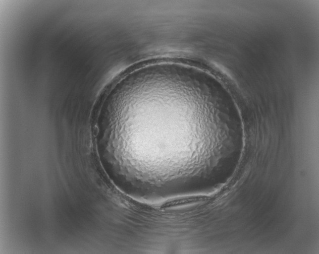 X0000068731267200605010950