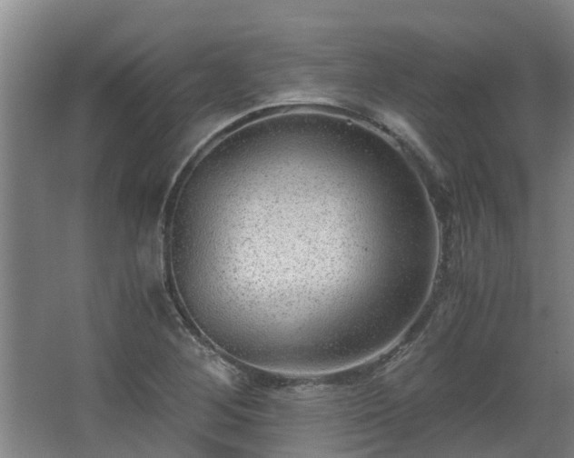 X0000068731268200605010950
