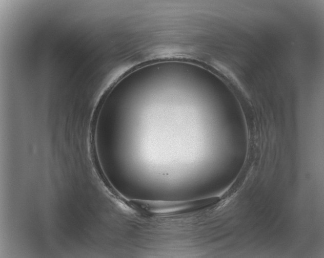 X0000068731277200605010950