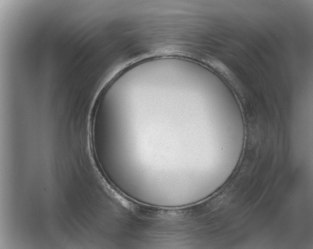 X0000068731286200605010950