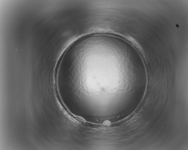 X0000068731287200605010950