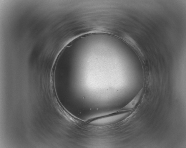 X0000068731292200605010949