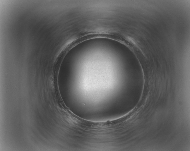 X0000068731307200605010949