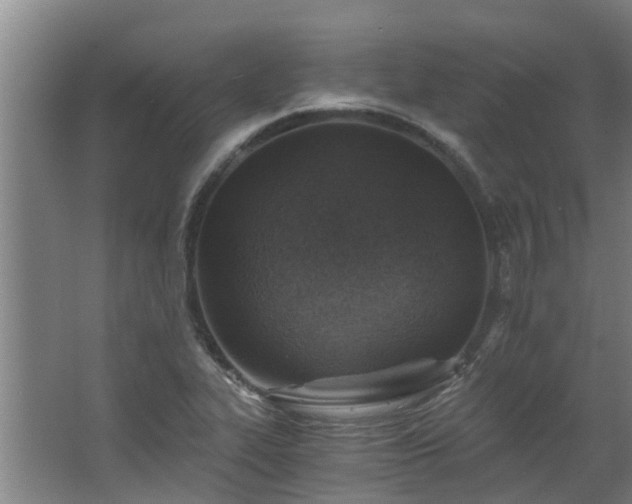X0000068731319200605010949