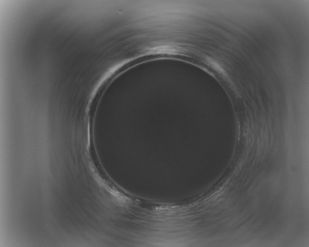 X0000068731323200605010949