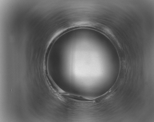 X0000068731328200605010949