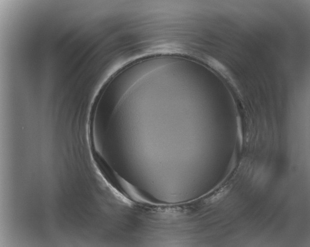 X0000068731334200605010949