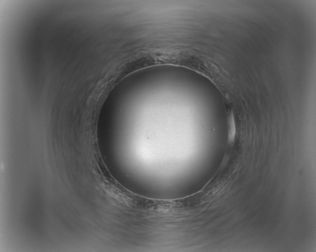 X0000068731345200605010949