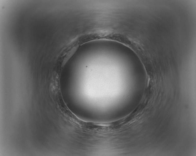 X0000068731349200605010949