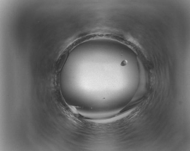 X0000068731352200605010948