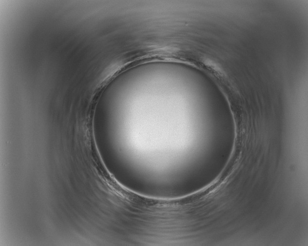 X0000068731354200605010948