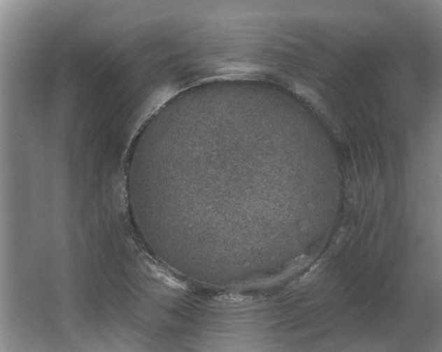 X0000068731362200605010948