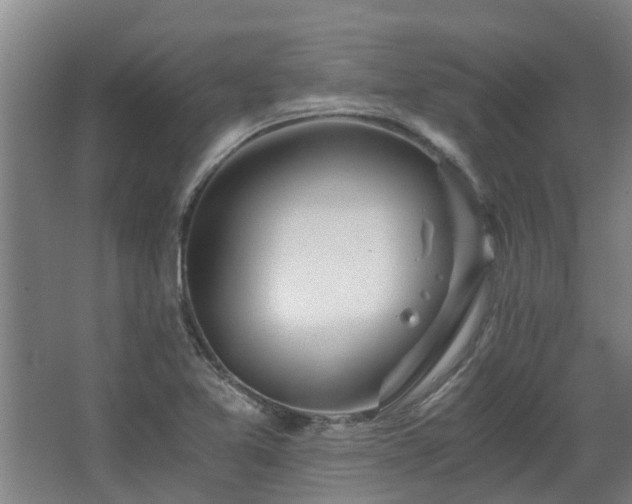 X0000068731365200605010948