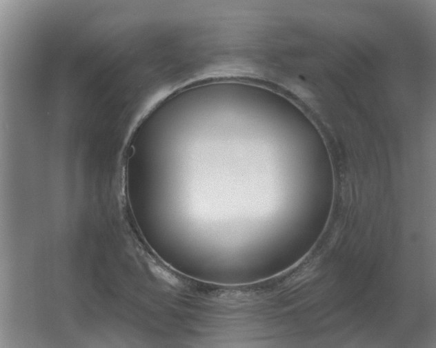 X0000068731366200605010948