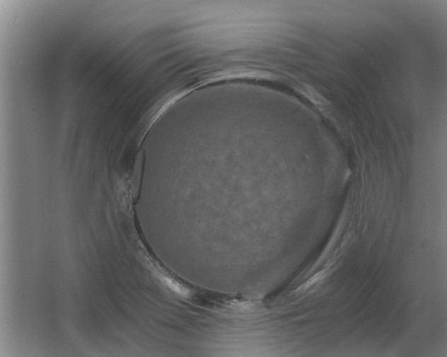 X0000068731369200605010948