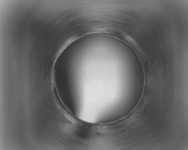 X0000068731370200605010948