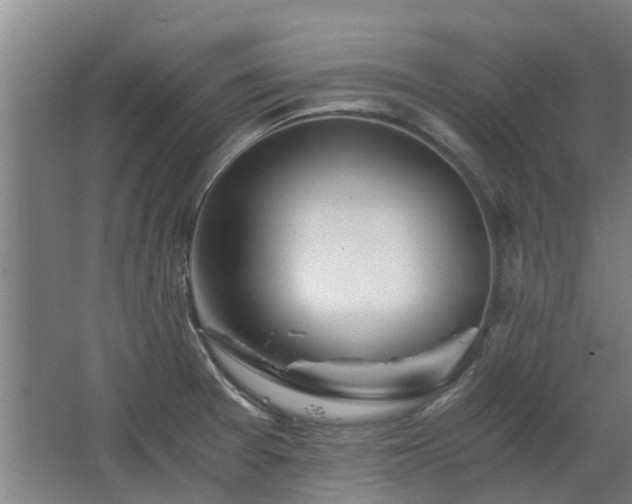 X0000068731377200605010948