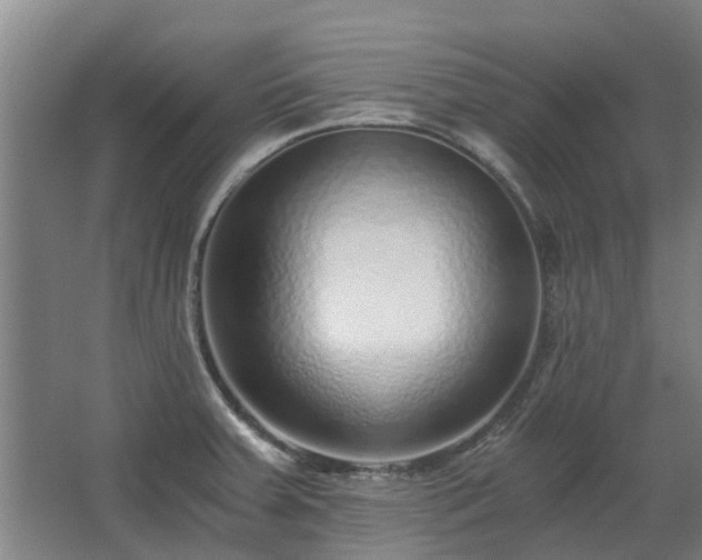 X0000068731379200605010948