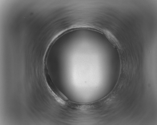 X0000068731380200605010948