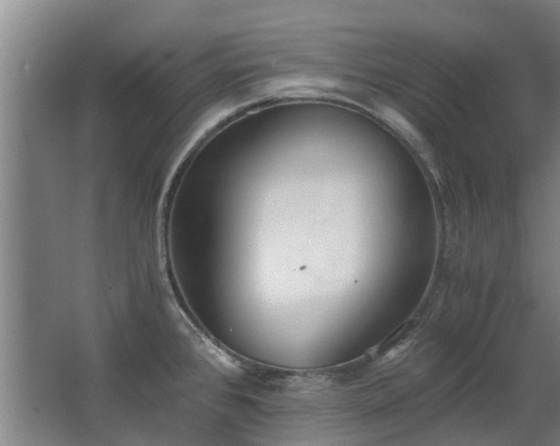 X0000068731384200605010948