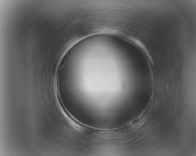 X0000068731391200605010948