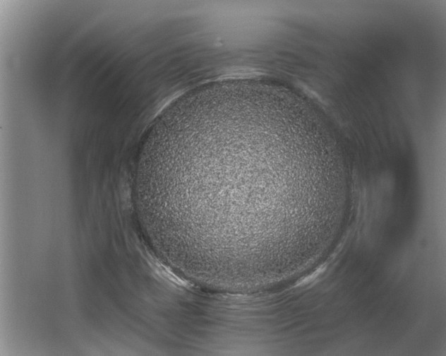 X0000068731401200605010947