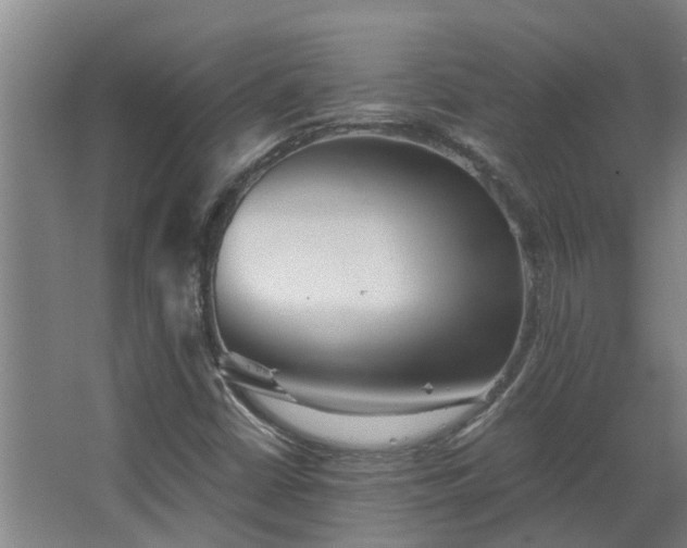 X0000068731402200605010947