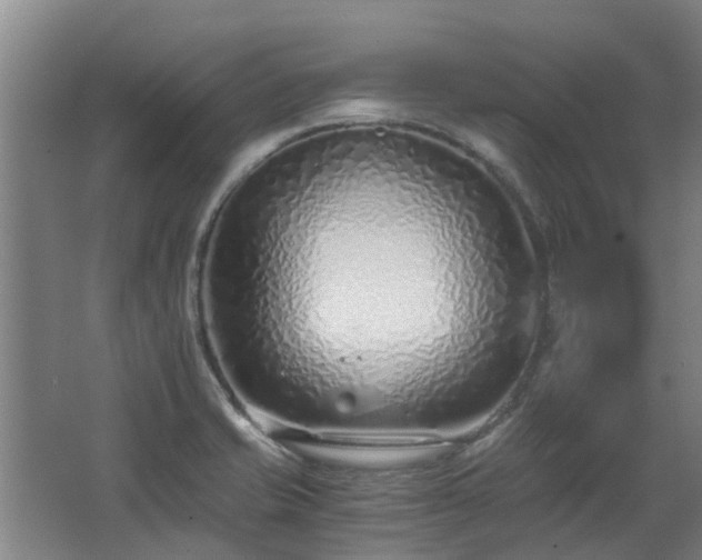 X0000068731421200605010947