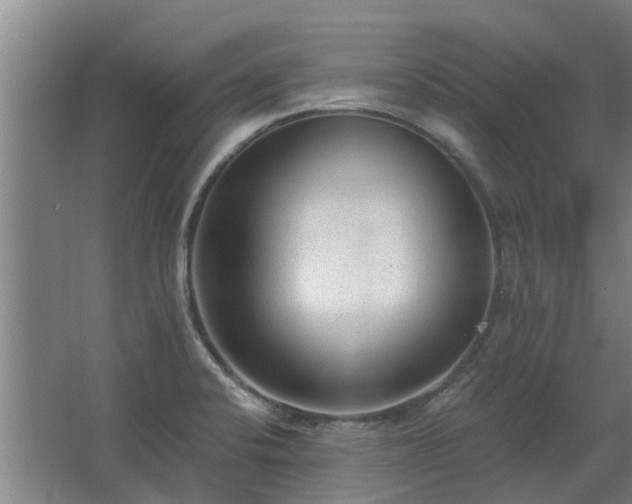 X0000068731424200605010948