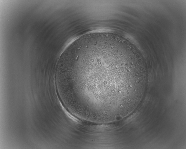 X0000068731425200605010948