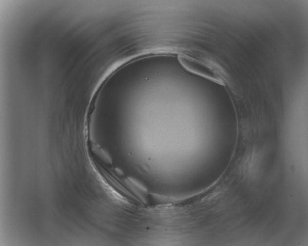 X0000068731428200605010948