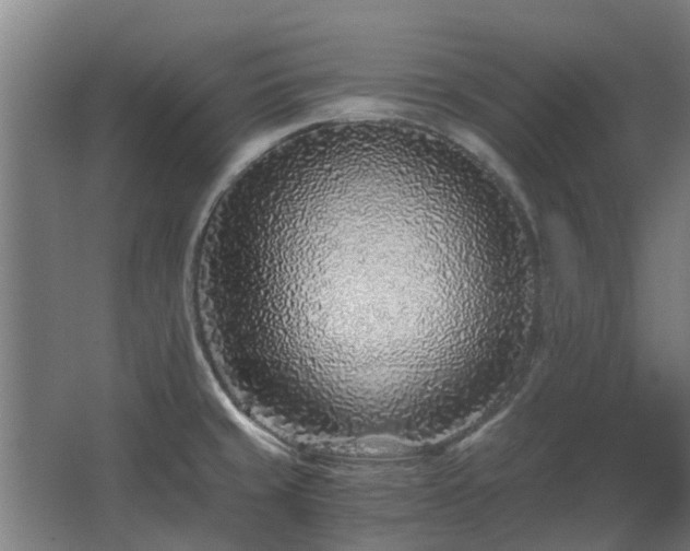 X0000068731429200605010948