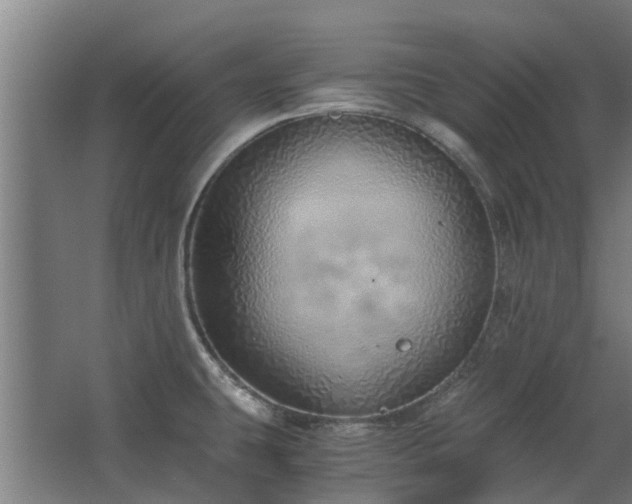 X0000068731431200605010948