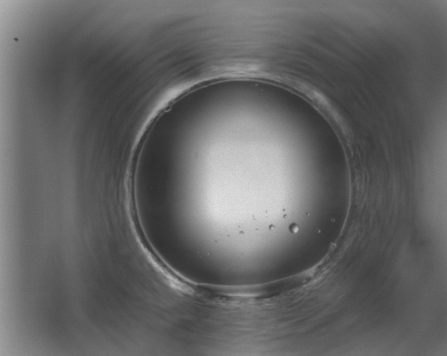 X0000068731432200605010948