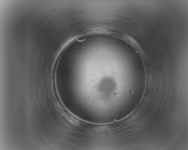 X0000068731435200605010948