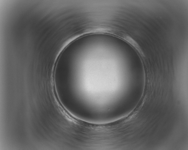 X0000068731436200605010948