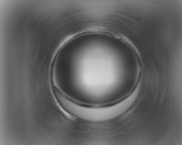 X0000068731437200605010948