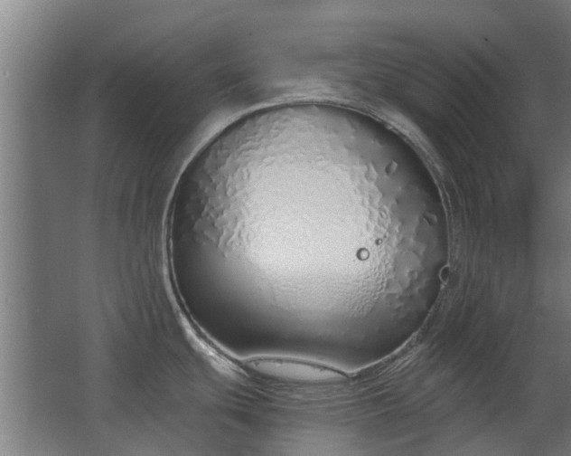 X0000068731439200605010948