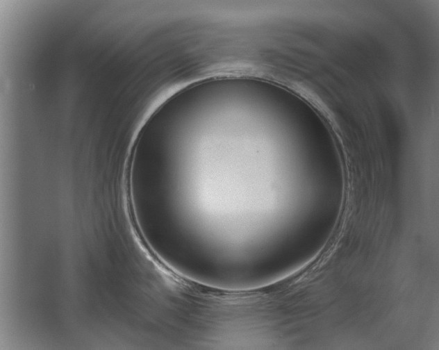 X0000068731440200605010948