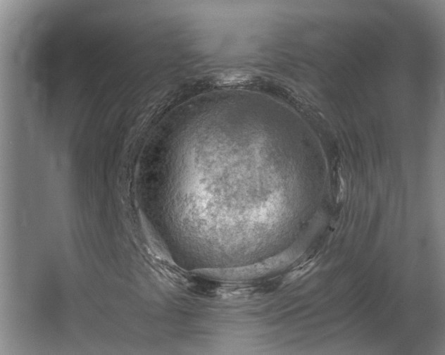 X0000068731441200605010947