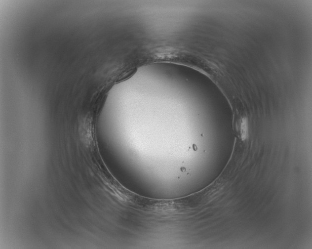 X0000068731444200605010947