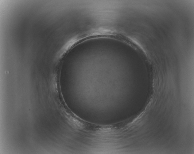 X0000068731455200605010947