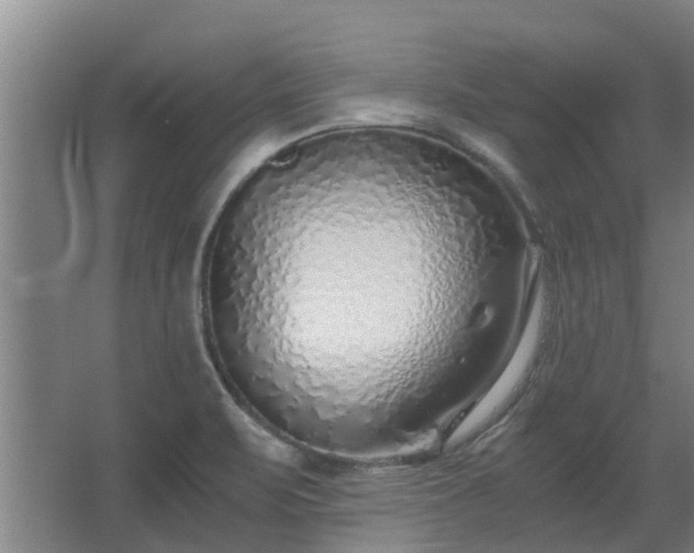 X0000068731471200605010946