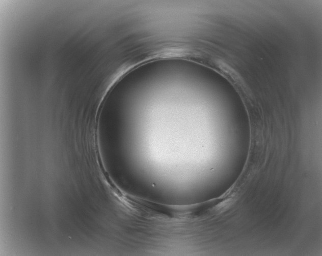 X0000068731473200605010946