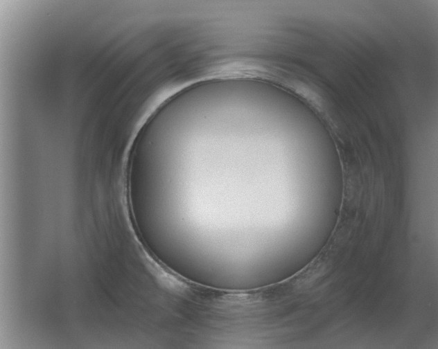 X0000068731478200605010946