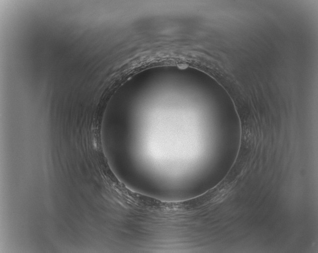 X0000068731490200605010945