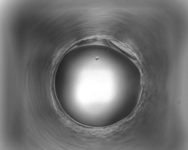 X0000068730001200605051511